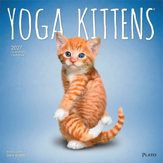 Plato; Yoga Kittens OFFICIAL | 2027 12 x 24 Inch (Hanging) Monthly Square Wall Calendar; Category:Wall Calendars; Image:1
